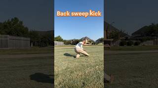 Back sweep kick Strike #martialarts #sanda#boxing#kungfu#Self-defense #shaolinkungfu