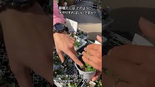 鉢植えへの水やりは？【園芸専門店アカツカFFCパビリオン】