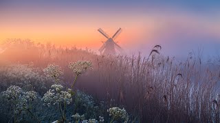 Magical Spring in The Netherlands - Albert Dros | magie du printemps