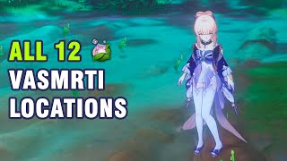 All 12 Vasmrti Locations - Varuna Gatha Final Part 1 Sumeru【Genshin Impact】