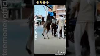 funny videos #shorts