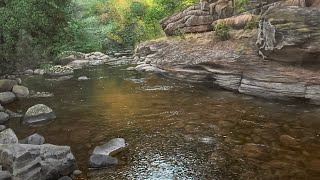 Painting a Realistic Creek | Timelapse | Part 4 of 4