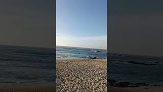 side beach tour in Porto #shorts #youtubeshort #trendingshorts #somghale #youtube