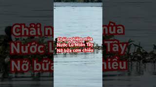 Chảy nghiệm mùa nước lũ các chú làm nỡ bữa cơm chiều #giaitri #giaitrivui #thegioigiaitri #funny