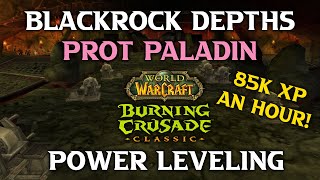 BRD Prot Paladin Shaman Power Leveling. 45-55+ 85K XP per Hour!