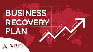 Business Recovery Tools Live - Aurum Consultants