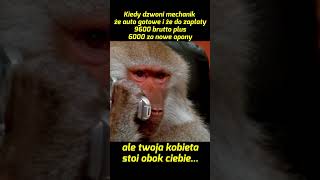 #kosynier4x4 #offroad #memes #trending #monkey #money #help #wife #mechanic #car #rally #fyp #fy