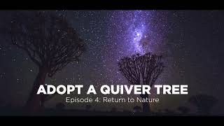 Adopt a Quiver Tree - Return to Nature