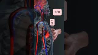 HEART CPR ||  #shortvideo #science #microscope #shortsfeed #education #youtube