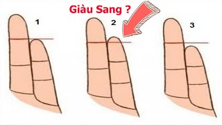 ✔️ Nhìn Xuống Ngón Út Bàn Tay Biết Ngay Tính Cách, Giàu Nghèo | Bồ Đề Tâm Official