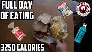 Tracking Macros While Traveling | Full Day of Eating (3250+ Calories)