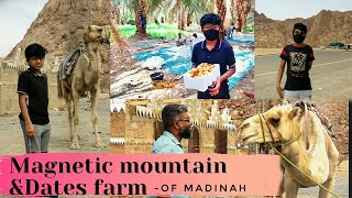 4#  Magnetic mountain & Dates farm of Madinah // Malayalam Vlog