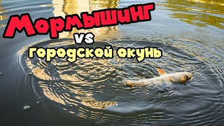 МОРМЫШИНГ В ГОРОДЕ. ОКУНЬ, ЩУКА, КАРАСЬ И КРАСНОПЁРКА! Ловля на ультралайт спиннинг.