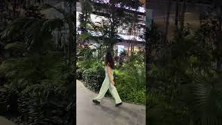 The Orchard- Tropical Indoor Garden in Doha Airport