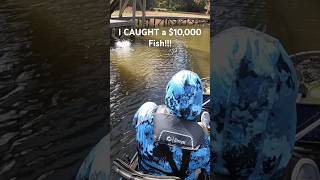 I CAGHT a $10,000 Fish!!! #fishing #reels#kayakfishing