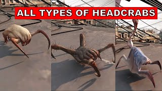 Half Life Alyx - All Types of HEADCRABS