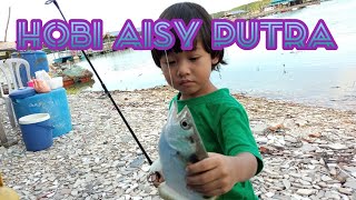 IKAN DAN KURA-KURA HOBI SI AISY 😍😍