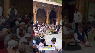 Qawwali at dargah ajmer shareef #shorts #travel