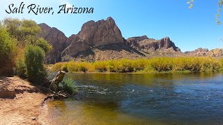 Salt River Trout Fishing in the Sonoran Desert (Arizona)