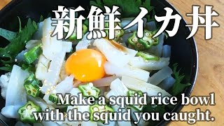 釣ったアオリイカを捌いて新鮮イカ丼を作る Make a squid bowl with the fresh squid you caught.