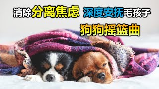 🐶（毛孩安睡音乐 狗狗也爱听音乐）10小时深度睡眠狗狗音乐🎵🐶缓解狗狗分离焦虑的音乐💖狗狗睡眠音乐 放松毛孩子的心情，降低焦虑和紧张情绪  放松你的狗狗  睡眠音乐 安抚放松你的狗狗