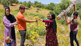 Nomadic Life: Morteza Is Looking for Malek to Get Her Money Back from Her🌱