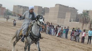 شاهد مرماح البياضية ومهارة فرسان الجبلاو والأشراف ودندرة والحميدات (احتفال الجبلاو بالمولد النبوى