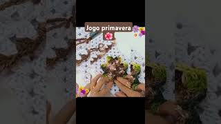 #croche jogo primavera 🌺