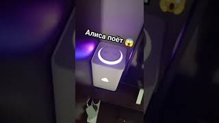 Алиса поёт😨 #яндекс #алиса #наггетсковбой #стоятьковбой #shorts #tiktok #youtube #rek #roblox #мем