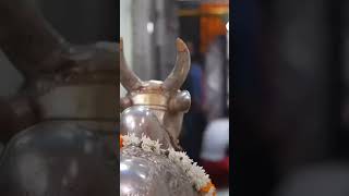 जय महाकाल।हर हर महादेव।