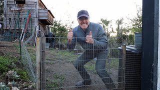 Fence'em Out, Keep'em Out - What's Eating These Plants?