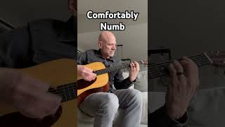 ‘Comfortably Numb’ by Pink Floyd #shorts #pinkfloyd #davidgilmour #acousticcover #comfortablynumb