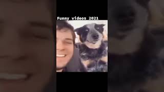 Funny videos 2021