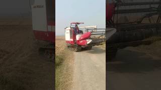 Yanmar harvester#shots #yanmar #rice_harvester