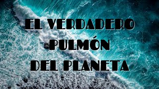 ¿Quién produce la mayor cantidad de oxígeno del planeta?