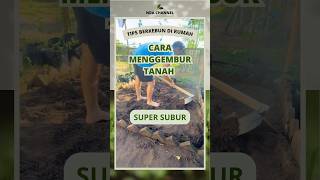 Wajib lakukan ini❗️Cara menggembur tanah menjadi subur #berkebun #berkebundirumah #belajarberkebun