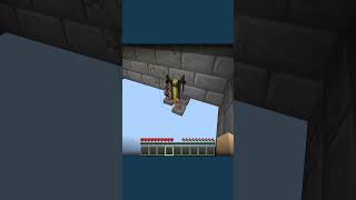 How To Fall Into The Void In Minecraft #minecraft #void #seed