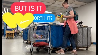 I went to the Goodwill Outlet Bins for Plush to sell on my Whatnot Online Auction! Was it worth is?