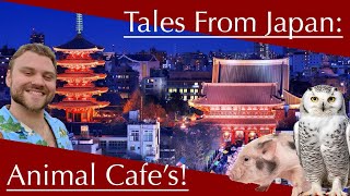 Tales Fron Japan: Animal Cafe’s!