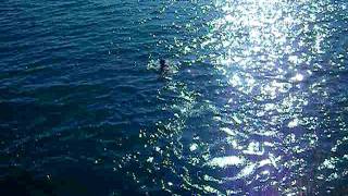 Vedgie-Diver absprung am Lago di Garda