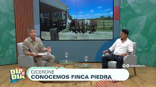 Turismo con Diego Porcile en el programa Día a Día, Finca Piedra