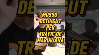 🚨ESCÀNDOL!!! Mosso Detingut per Tràfic de Marihuana🌿 #gavà #shorts