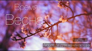 Время: Весна. Аюрведа для начинающих.