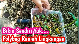 cara membuat polybag dari daun pisang | polybag dari daun pisang