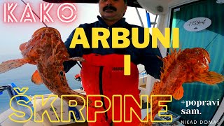 KAKO: Arbuni i Škrpine 🎣 ( fishing Croatia)