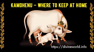 Kamdhenu – Where To Keep At Home