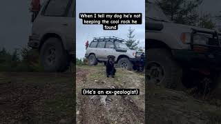 #dogs #toyota #geology