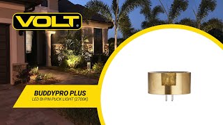 What's In The Box? | VOLT® BuddyPro™ Plus Brass LED Bi-Pin Puck Light (2700K)