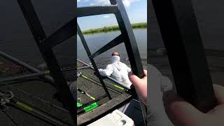 Marsh bath #fishing #saltwater #saltwaterfishing #fish #bassfishing #reels #fun #manoverboard #viral