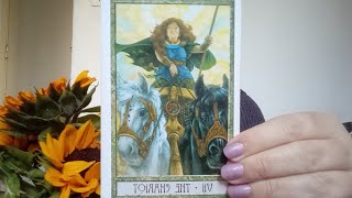 TOURO: Solsticio Imbolc/Lughnasadh 01/08 - 20/09/2024